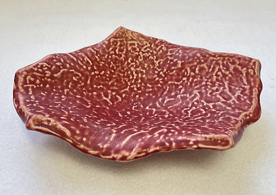 ������E�V�Ղ�M�̑S�̗̂l�q