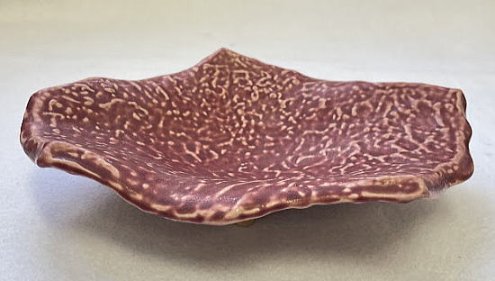 ������E�V�Ղ�M�̉�����̗l�q