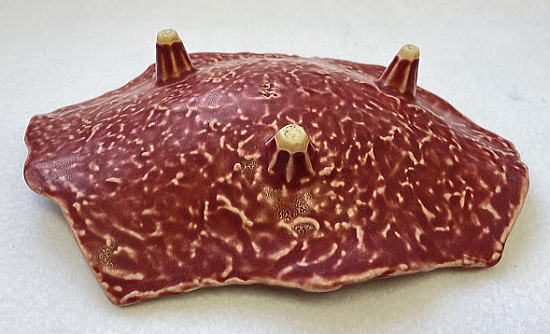 ������E�V�Ղ�M�̗����̗l�q