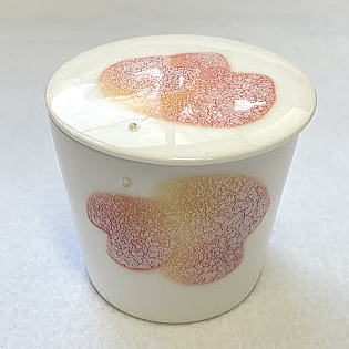 ���������̊�̏ォ��̗l�q