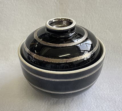 �V���o�[���C���W�t����01