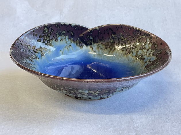 ����̕ό`���̑S�̗̂l�q