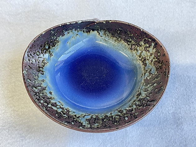 ����̕ό`���̏ォ��̗l�q