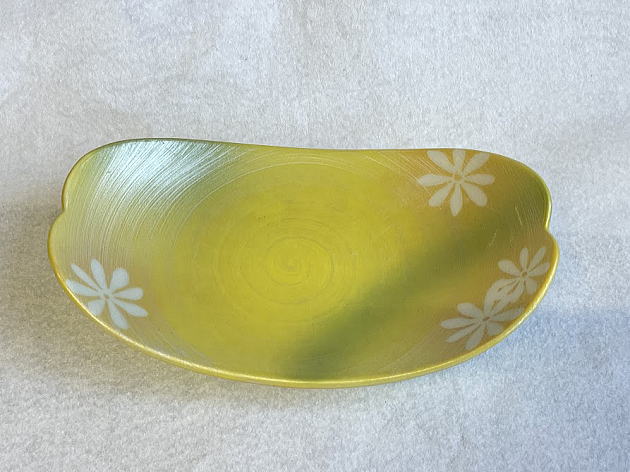 ����̎M�̑S�̗̂l�q